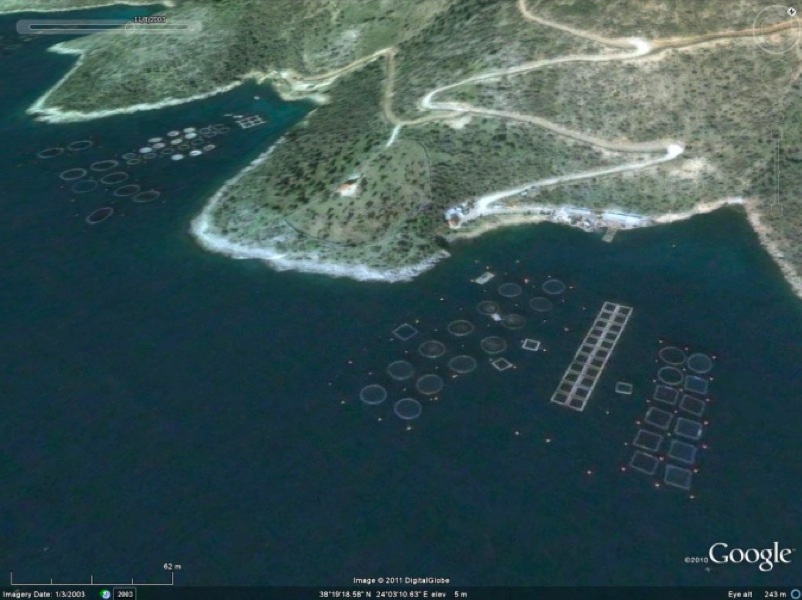Fish farms at sea: the ground truth from Google&nbsp;Earth